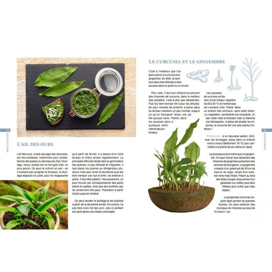 Mini-potager pour toutes les situations de Jardinerie Bordeaux Libourne Gironde dans C022