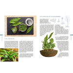 Mini-potager pour toutes les situations de Jardinerie Bordeaux Libourne Gironde dans C022