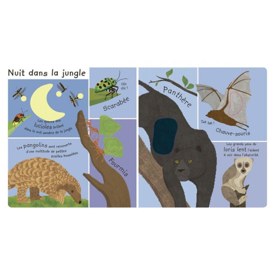 Mes premiers animaux de la jungle de Jardinerie Bordeaux Libourne Gironde dans C022