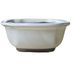 Pot ovale pour bonsai fleur creme PM de Jardinerie Bordeaux Libourne Gironde dans M074