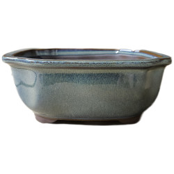 Pot ovale pour bonsai fleur vert GM de Jardinerie Bordeaux Libourne Gironde dans M074