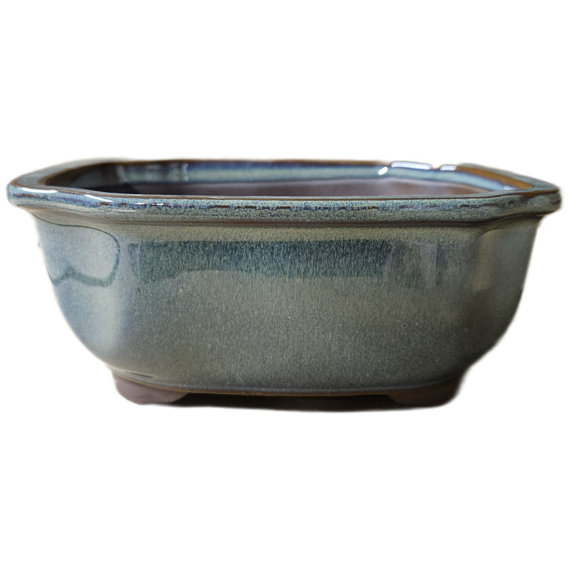 Pot ovale pour bonsai fleur vert GM de Jardinerie Bordeaux Libourne Gironde dans M074