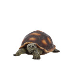 Tortue s déco de Esschert design - deco maison et jardin dans E058