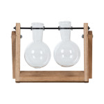 Set de 2 vases à bouture de Esschert design - deco maison et jardin dans E058