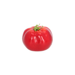 Tomate déco de Esschert design - deco maison et jardin dans E058