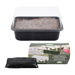 Set cultivateur champignons de Esschert design - deco maison et jardin dans E058