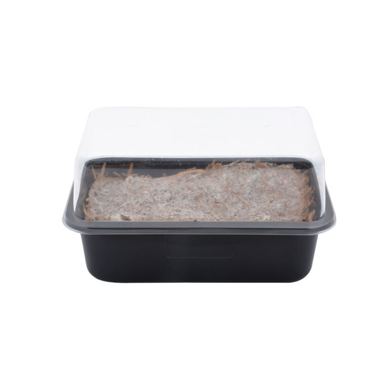 Set cultivateur champignons de Esschert design - deco maison et jardin dans E058