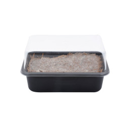 Set cultivateur champignons de Esschert design - deco maison et jardin dans E058