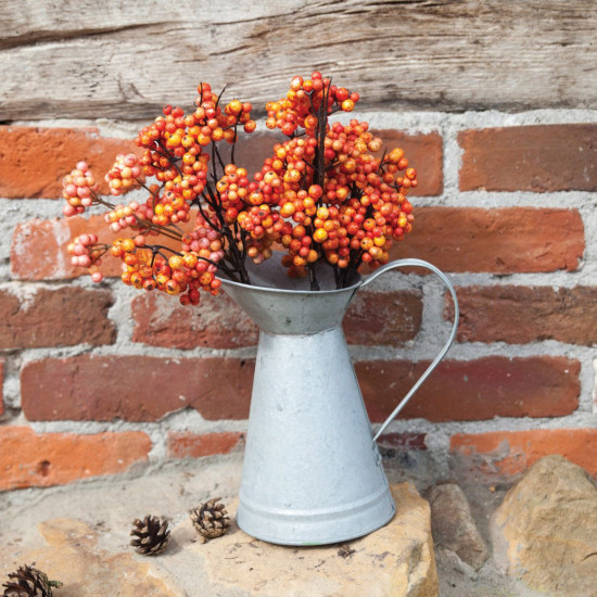 Arrosoir bec canard - vieux zinc de Esschert design - deco maison et jardin dans E058