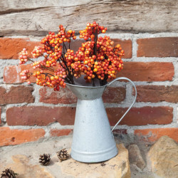 Arrosoir bec canard - vieux zinc de Esschert design - deco maison et jardin dans E058