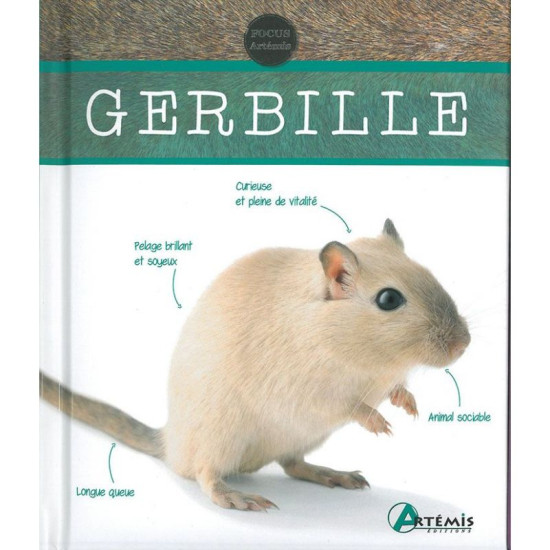 Gerbille de Jardinerie Bordeaux Libourne Gironde dans C022