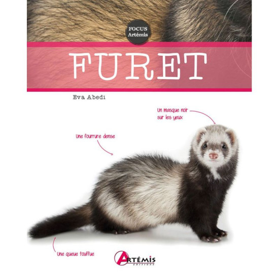 Furet de Jardinerie Bordeaux Libourne Gironde dans C022