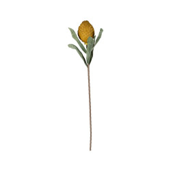 Fleur cocoa moutarde+vert h82cm de Comptoir de Famille - Objet de décoration dans Y001