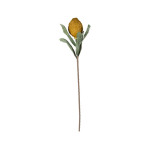 Fleur cocoa moutarde+vert h82cm de Comptoir de Famille - Objet de décoration dans Y001