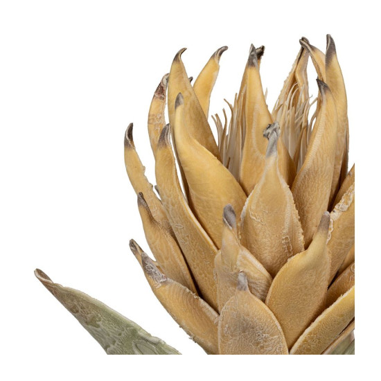 Fleur tilda jaune pale h76cm de Comptoir de Famille - Objet de décoration dans Y001