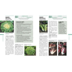Legumes et fruits pour toute l'annee de Jardinerie Bordeaux Libourne Gironde dans C022