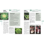 Legumes et fruits pour toute l'annee de Jardinerie Bordeaux Libourne Gironde dans C022
