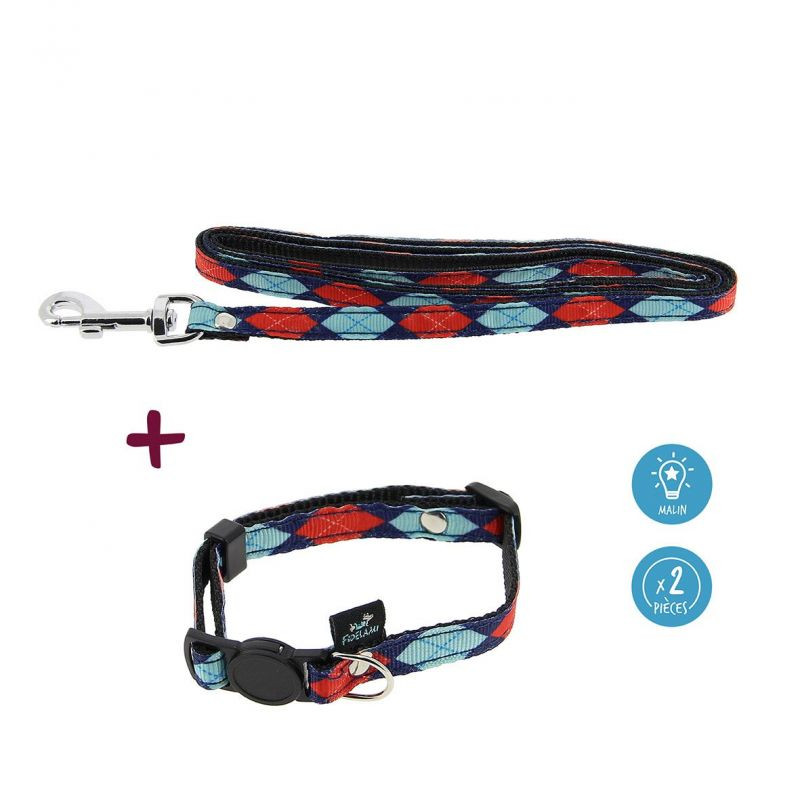 Laisse-collier chat - rouge et bleu de Jardinerie Bordeaux Libourne Gironde dans C022