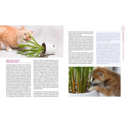 Les plantes amies des animaux de Jardinerie Bordeaux Libourne Gironde dans C022