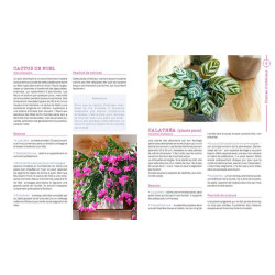 Les plantes amies des animaux de Jardinerie Bordeaux Libourne Gironde dans C022