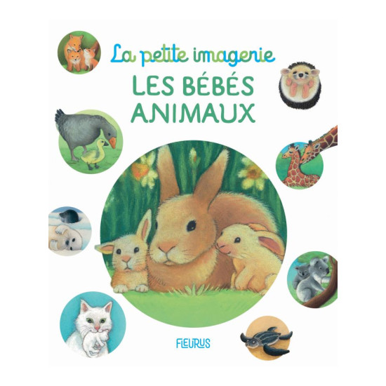 Les bebes animaux - la petite imagerie de Jardinerie Bordeaux Libourne Gironde dans C022