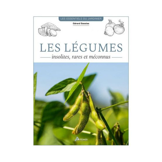 Legumes insolites. rares et meconnus de Jardinerie Bordeaux Libourne Gironde dans C022