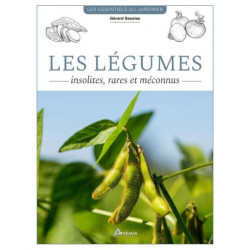 Legumes insolites. rares et meconnus de Jardinerie Bordeaux Libourne Gironde dans C022