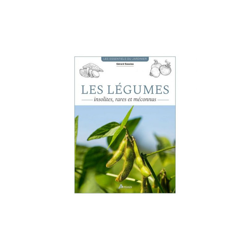 Legumes insolites. rares et meconnus de Jardinerie Bordeaux Libourne Gironde dans C022