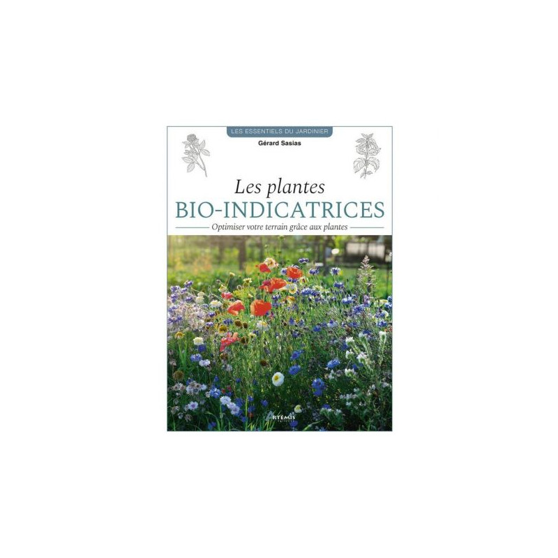 Les plantes bio-indicatrices de Jardinerie Bordeaux Libourne Gironde dans C022
