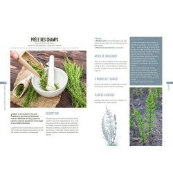 Les plantes bio-indicatrices de Jardinerie Bordeaux Libourne Gironde dans C022