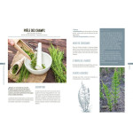 Les plantes bio-indicatrices de Jardinerie Bordeaux Libourne Gironde dans C022