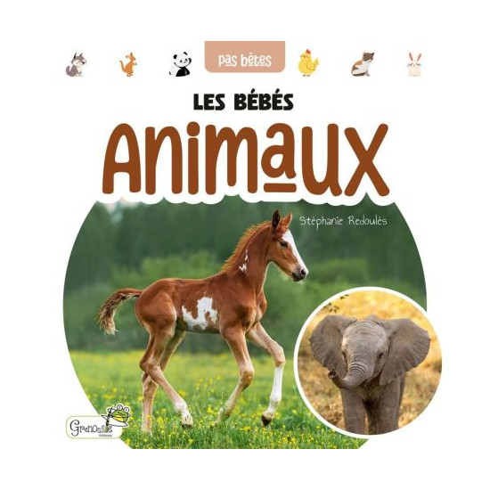 Les bebes animaux de Jardinerie Bordeaux Libourne Gironde dans C022