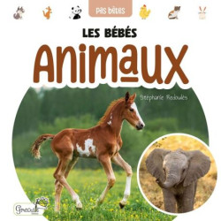 Les bebes animaux de Jardinerie Bordeaux Libourne Gironde dans C022