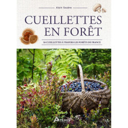 Cueillettes en foret de Jardinerie Bordeaux Libourne Gironde dans C022