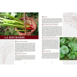 Elixirs gourmands des jardins et des champs de Jardinerie Bordeaux Libourne Gironde dans C022