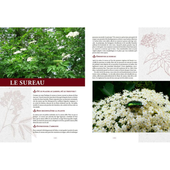 Elixirs gourmands des jardins et des champs de Jardinerie Bordeaux Libourne Gironde dans C022