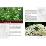 Elixirs gourmands des jardins et des champs de Jardinerie Bordeaux Libourne Gironde dans C022