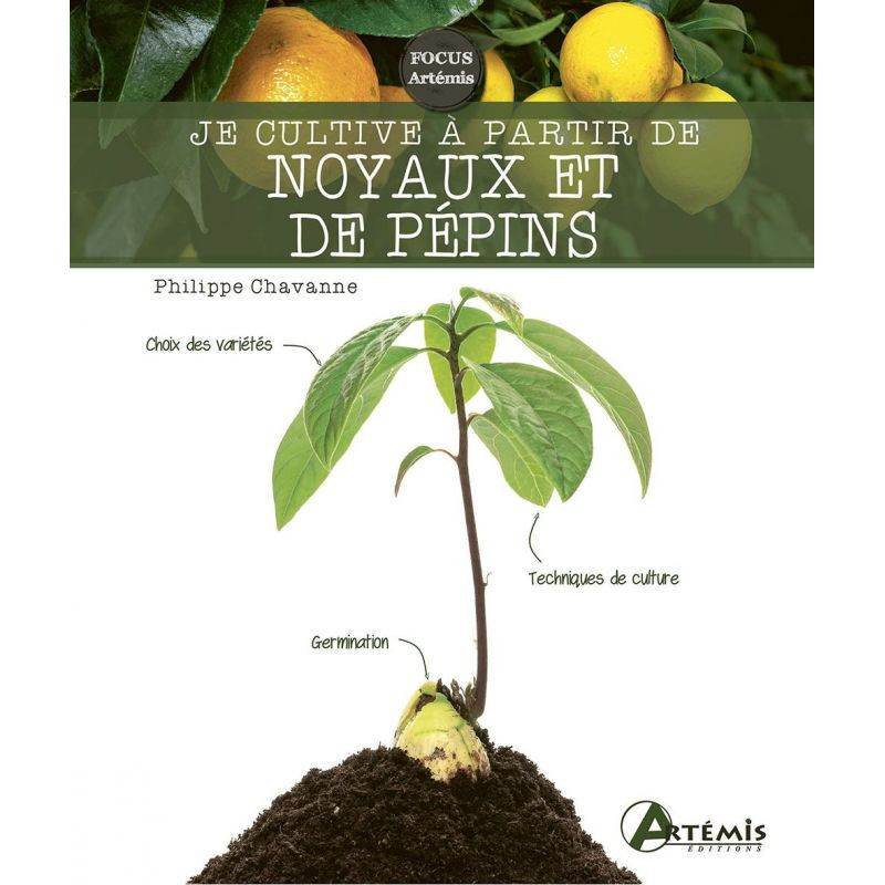 Je cultive a partir de noyaux et de pepins de Jardinerie Bordeaux Libourne Gironde dans C022