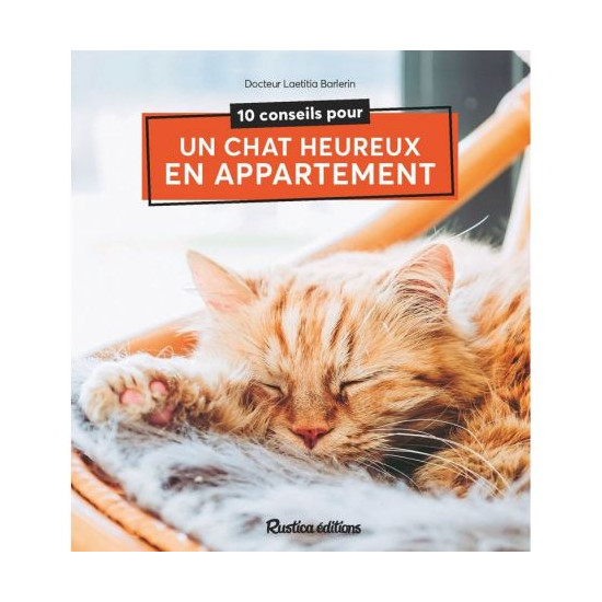 10 conseils pour un chat heureux en appartement de Jardinerie Bordeaux Libourne Gironde dans C022