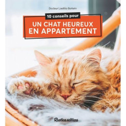 10 conseils pour un chat heureux en appartement de Jardinerie Bordeaux Libourne Gironde dans C022