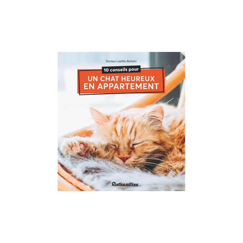 10 conseils pour un chat heureux en appartement de Jardinerie Bordeaux Libourne Gironde dans C022