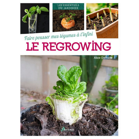 Faire pousser mes legumes a l'infini : regrowing de Jardinerie Bordeaux Libourne Gironde dans C022