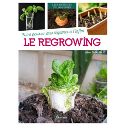 Faire pousser mes legumes a l'infini : regrowing de Jardinerie Bordeaux Libourne Gironde dans C022