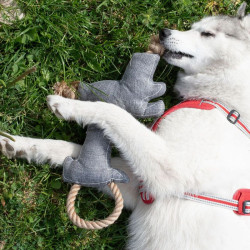 Doudou chien tissu et corde sonore de Jardinerie Bordeaux Libourne Gironde dans C022