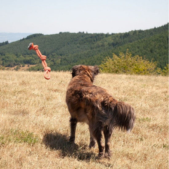Jeu tressé 3 noeuds/anse jeu pour chien 58cm de Jardinerie Bordeaux Libourne Gironde dans C022