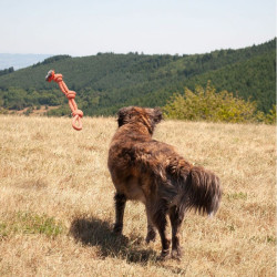 Jeu tressé 3 noeuds/anse jeu pour chien 58cm de Jardinerie Bordeaux Libourne Gironde dans C022