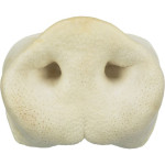 Museaux de cochon séchégrand de Trixie - Produit pour animaux dans T050