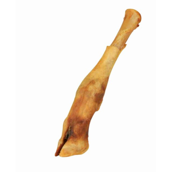 Pied d'agneau séché 16–18 cm de Trixie - Produit pour animaux dans T050