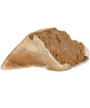 Sabot de bæuf fourée 115g de Trixie - Produit pour animaux dans T050