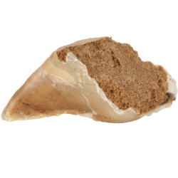 Sabot de bæuf fourée 115g de Trixie - Produit pour animaux dans T050